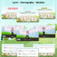Bunnies! A Hopping New Musical