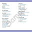 Action Songs Children Love Volume 2