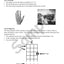Sample page: A guide to playing ukulele chords