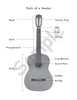 Sample page: A picture labeling the parts of a guitar