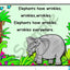 Movement Songs Children Love Projectable Elephants Have Wrinkles