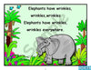 Movement Songs Children Love Projectable Elephants Have Wrinkles