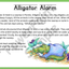 Alphabet Super Pack