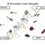 Sample slide: Several pictures of different instruments, for the activity "Instrument Family Matching"